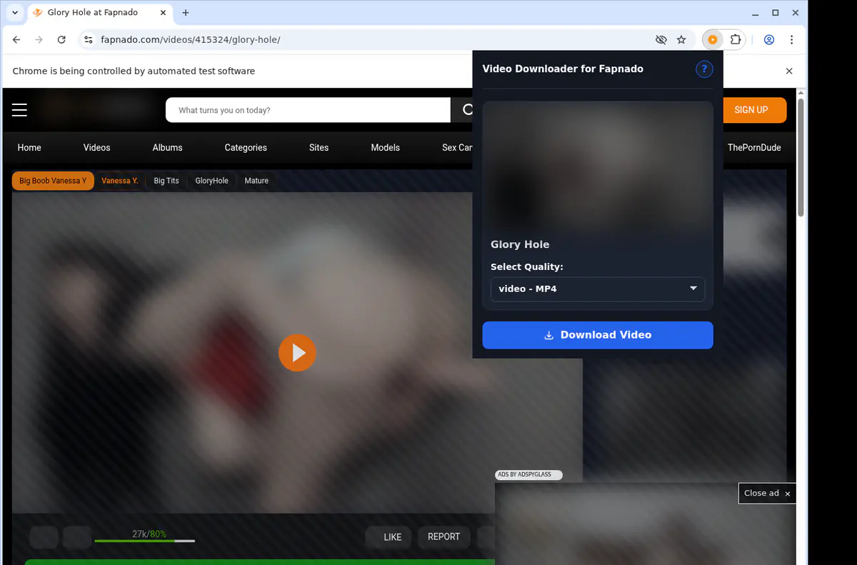 Fapnado Video Downloader browser extension screenshot 3